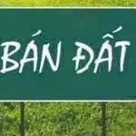 Bán đất ngõ Thắng Lợi, Tân Hưng, 46,5m2, 1 tỷ - Ảnh thu nhỏ 1