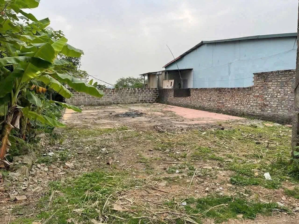 Bán đất 55m2 Tiên Cát Phú Thọ ~1 tỷ - Ảnh thu nhỏ 3