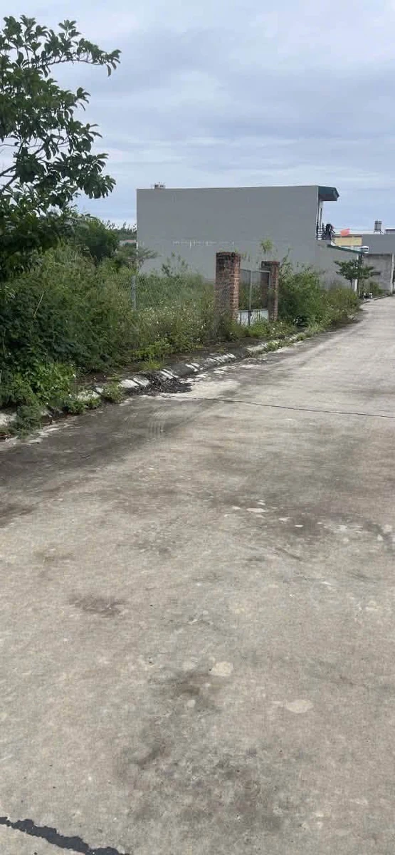 Bán đất 89,9m² mặt tiền Tôn Đức Thắng Hải Phòng, 800 triệu - Ảnh thu nhỏ 2