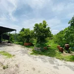 Bán đất 1150m² gần Lộc An, Bà Rịa - Vũng Tàu, giá 1.5 tỷ - Ảnh thu nhỏ 3