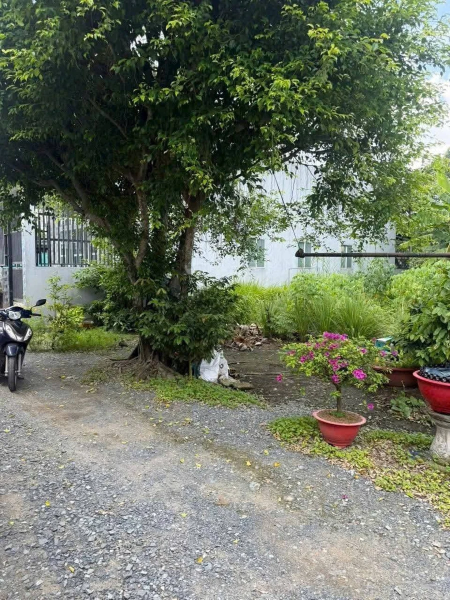 Bán đất thổ cư 100m² Bến Lưc Long An 1 tỷ 200 triệu - Ảnh 1