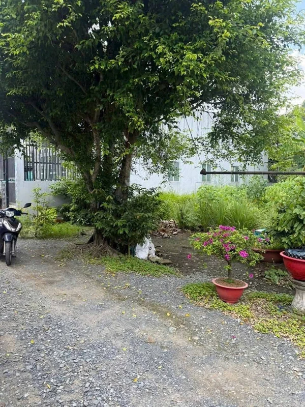Bán đất thổ cư 100m² Bến Lưc Long An 1 tỷ 200 triệu