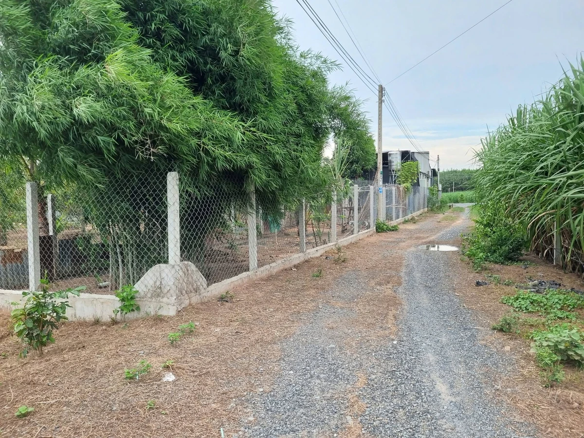 Bán đất thổ cư 5x65m Phước Thạnh Tây Ninh 330 triệu - Ảnh thu nhỏ 2