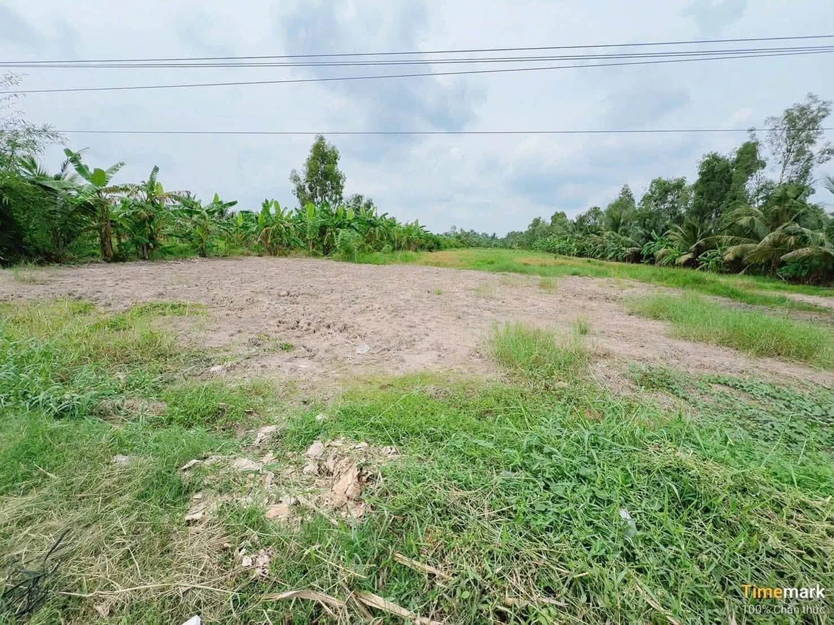 Bán đất Quản Lộ Phụng Hiệp Cà Mau 2500m² - Ảnh thu nhỏ 2