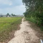 Bán lô đất thổ cư 5x25m Đức Hòa Thượng Long An - Ảnh thu nhỏ 3