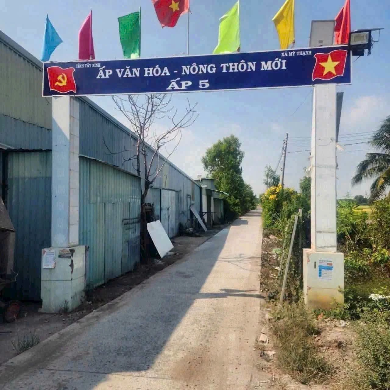 Bán đất thổ cư 5x30m (150m2) giá 379 triệu tại Mỹ Thạnh, Thủ Thừa, Long An - Ảnh 1