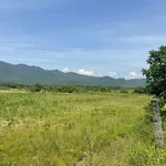 Bán 2000m2 đất cây trồng lâu năm Hàm Thuận - Ảnh thu nhỏ 4