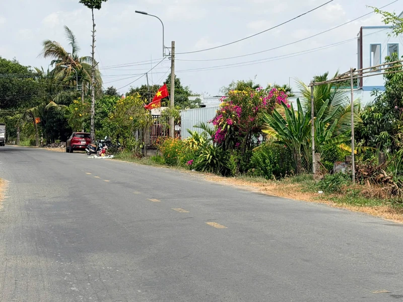 Bán đất thổ cư mặt tiền Cao Thị Mai 260m2, 1,4 tỷ/nền, Bình Trinh Đông, Tân Trụ, Long An