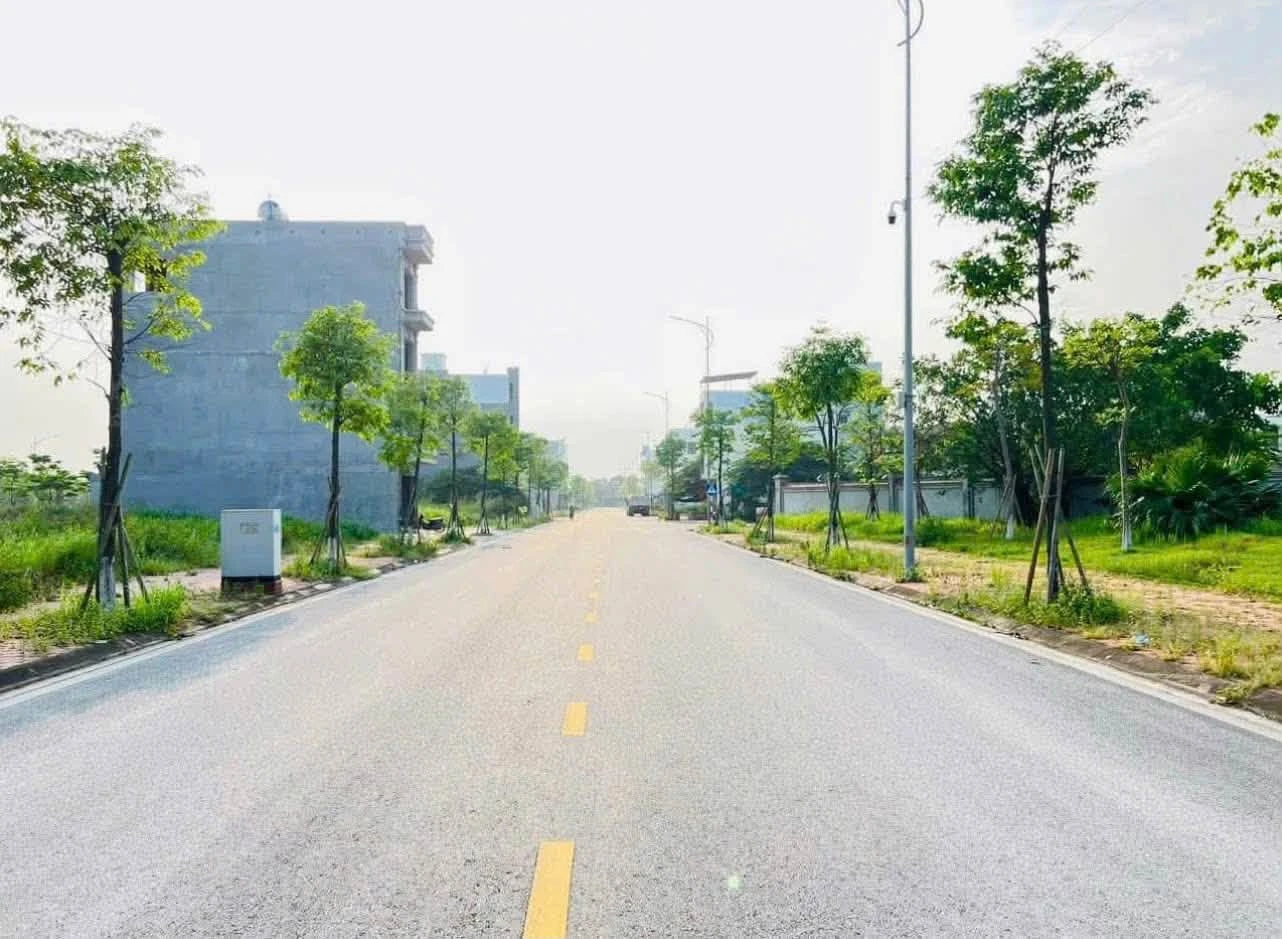 Bán đất VIP 67.5m2 đường 20.5m Tân Phú Hưng, 3.3 tỷ - Ảnh 1