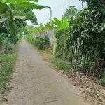 Bán lô đất vườn 2000m² Tân An 5 tỷ - Ảnh thu nhỏ 3