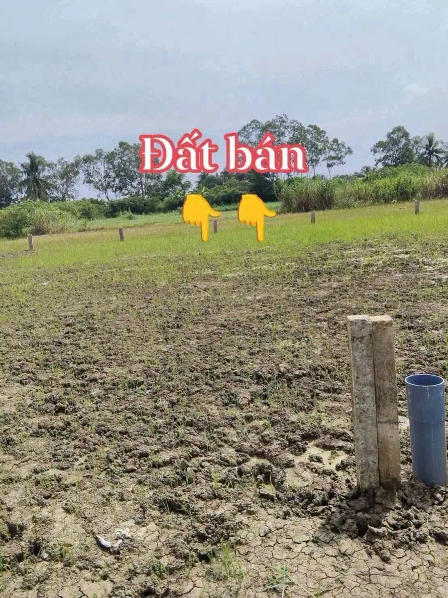 Bán đất nền 180m2 (6x30) Gò Công Tây, Tiền Giang 310 triệu - Ảnh thu nhỏ 2
