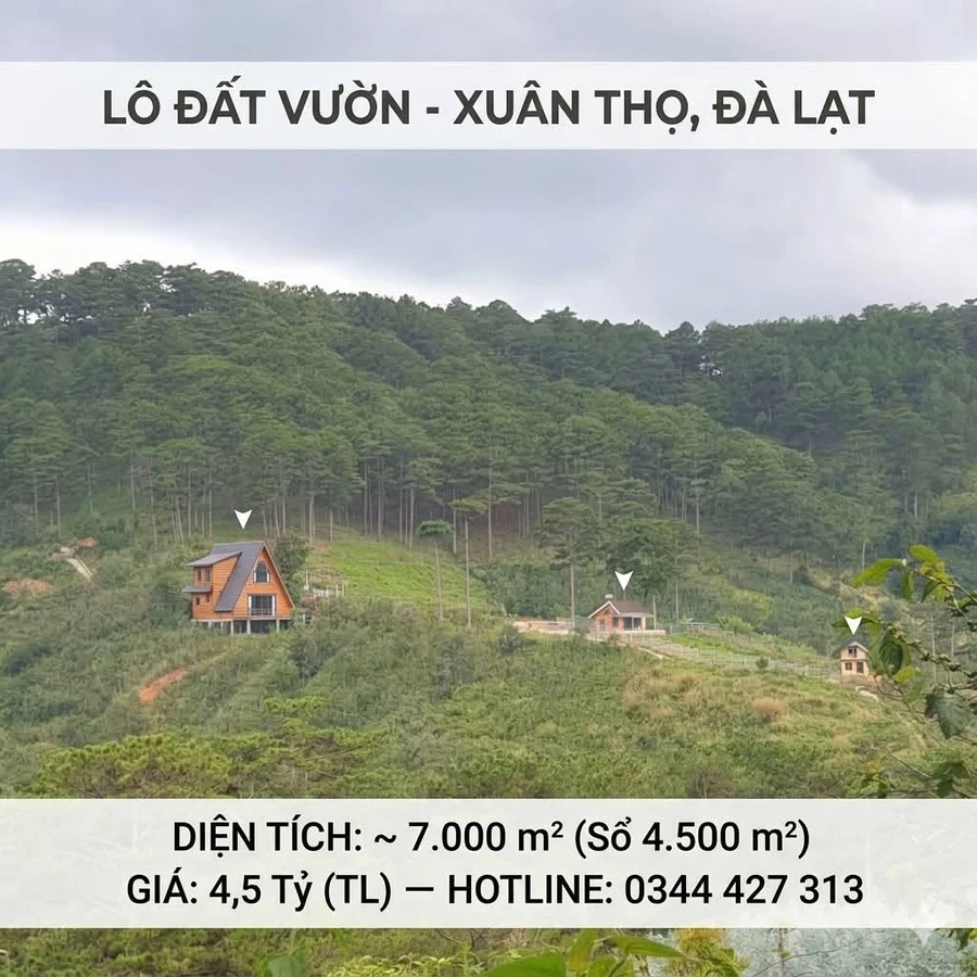 Bán đất nền 7.000m² Xuân Thọ Đà Lạt, giá 4,5 tỷ - Ảnh 1