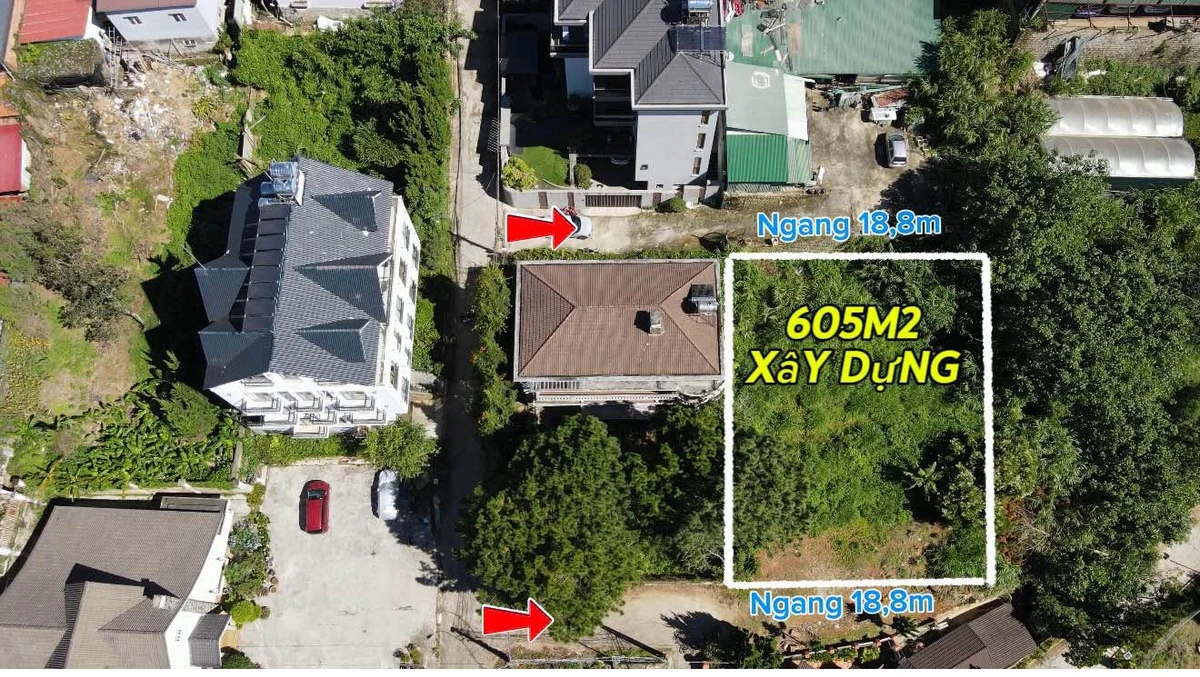 Bán đất Hùng Vương Đà Lạt 605m² view rừng thông - Ảnh thu nhỏ 2