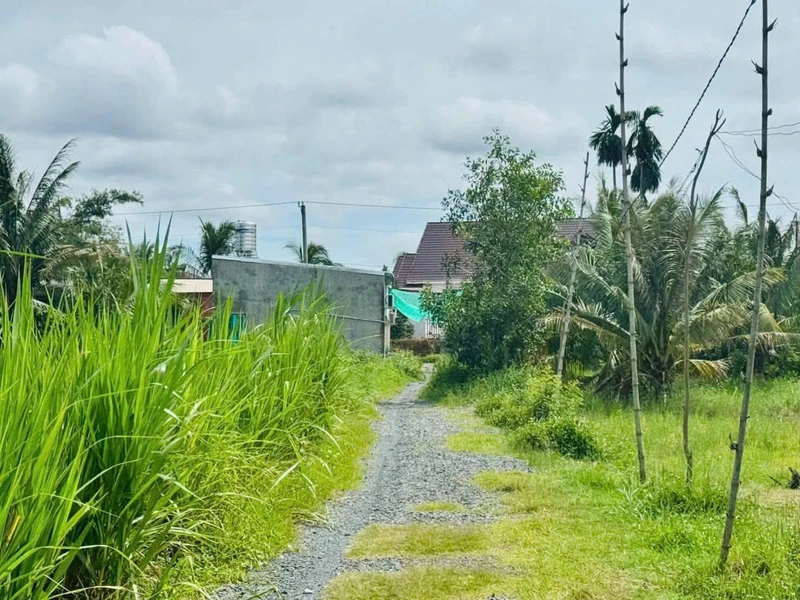 Bán đất hẻm Trường Đông, Long Hoa, Tây Ninh, 1000m²