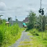 Bán đất hẻm Trường Đông, Long Hoa, Tây Ninh, 1000m² - Ảnh thu nhỏ 1