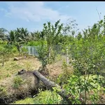 Bán đất Sơn Hòa 500m² giá 600 triệu - Ảnh thu nhỏ 3