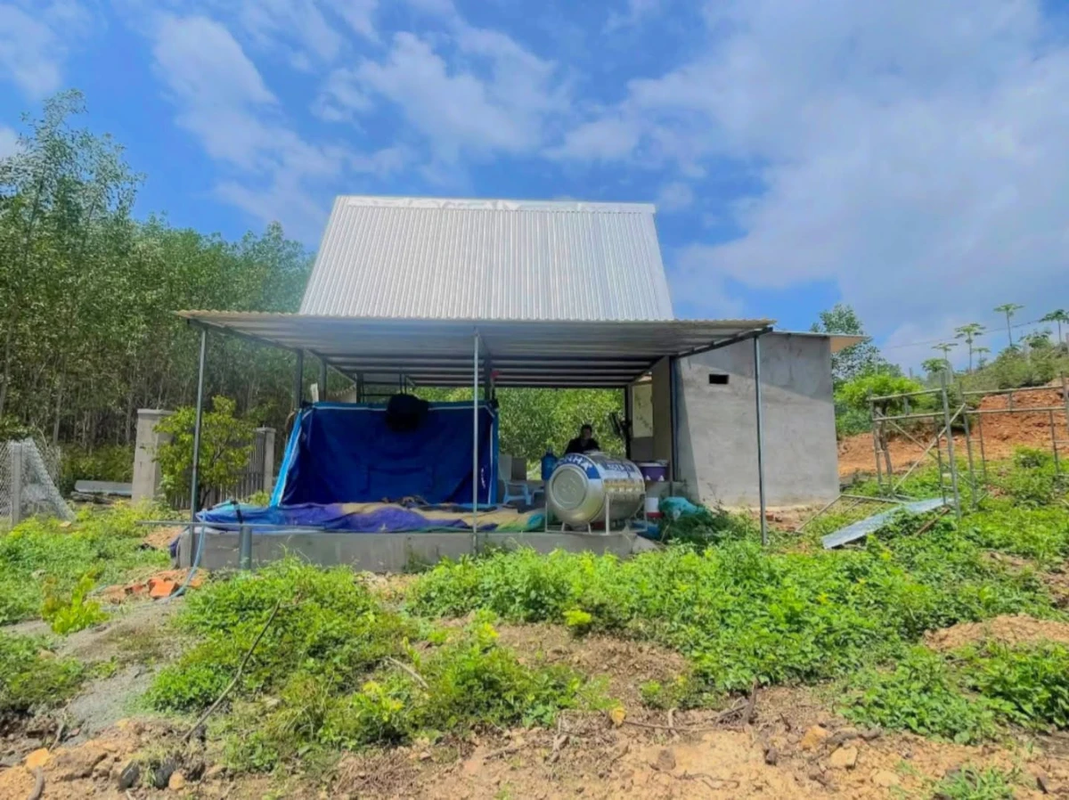 Bán đất vườn 3.000m² Ninh Lộc 750 triệu - Ảnh 1