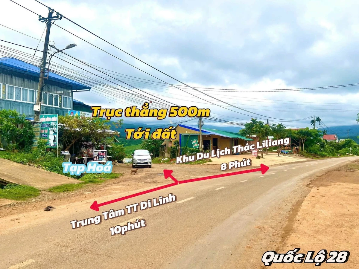 Bán đất nền biệt thự 320m² Di Linh, Lâm Đồng - Ảnh thu nhỏ 3