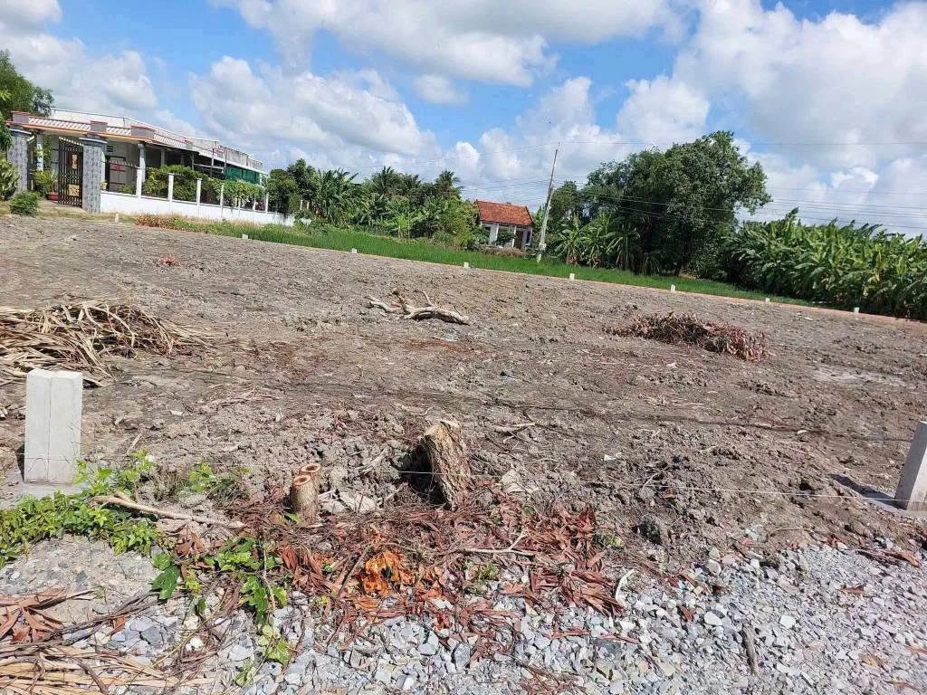 Bán lô đất tổ 5×25m (125m²) Mỹ Lệ, Cần Đước, Long An 600 triệu - Ảnh thu nhỏ 3