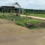 Bán đất vườn 1000m² TP Đồng Nai chỉ 380 triệu - Ảnh thu nhỏ 2
