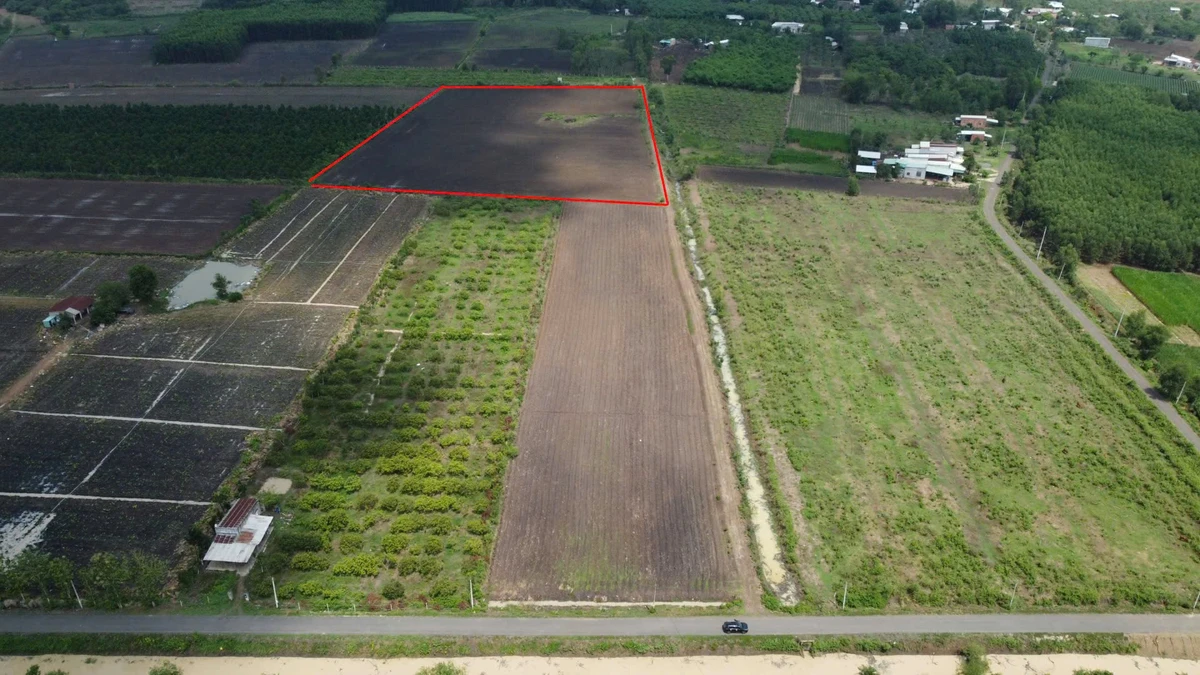 Bán lô đất 1.000 m² có 50 m² đất ở từ 430 triệu Tân Lâm - Ảnh thu nhỏ 2