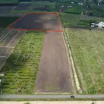 Bán lô đất 1.000 m² có 50 m² đất ở từ 430 triệu Tân Lâm - Ảnh thu nhỏ 2