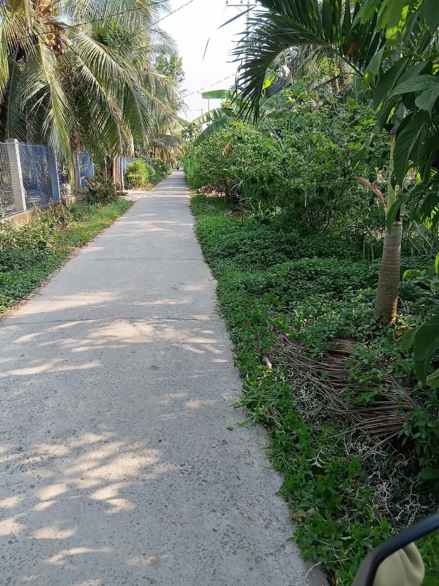 Bán đất Quới Điền, Nhà Bè, 750m2, 550 triệu - Ảnh 1
