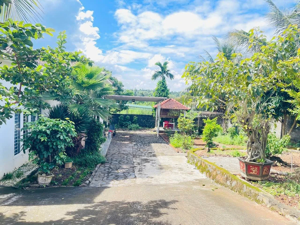 Bán nhà vườn mái nhật 200m2, 4PN 3WC gần chợ Thành Nhất - Ảnh 1