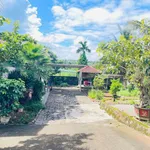Bán nhà vườn mái nhật 200m2, 4PN 3WC gần chợ Thành Nhất - Ảnh thu nhỏ 1