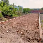 Bán lô đất 500m² đường Phú An 024, Bến Cát, Bình Dương - 1.55 tỷ - Ảnh thu nhỏ 4