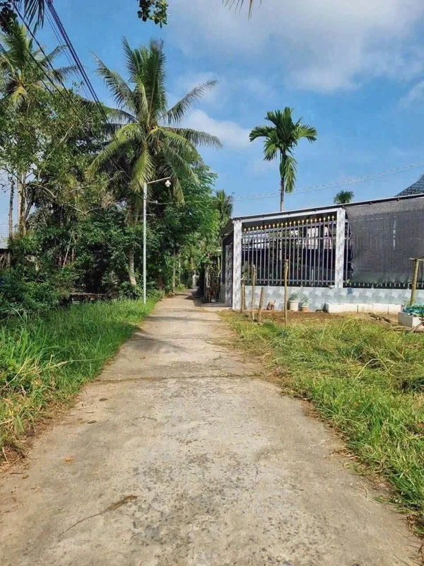 Bán đất Phú Hưng Bến Tre 231m² 1,2 tỷ