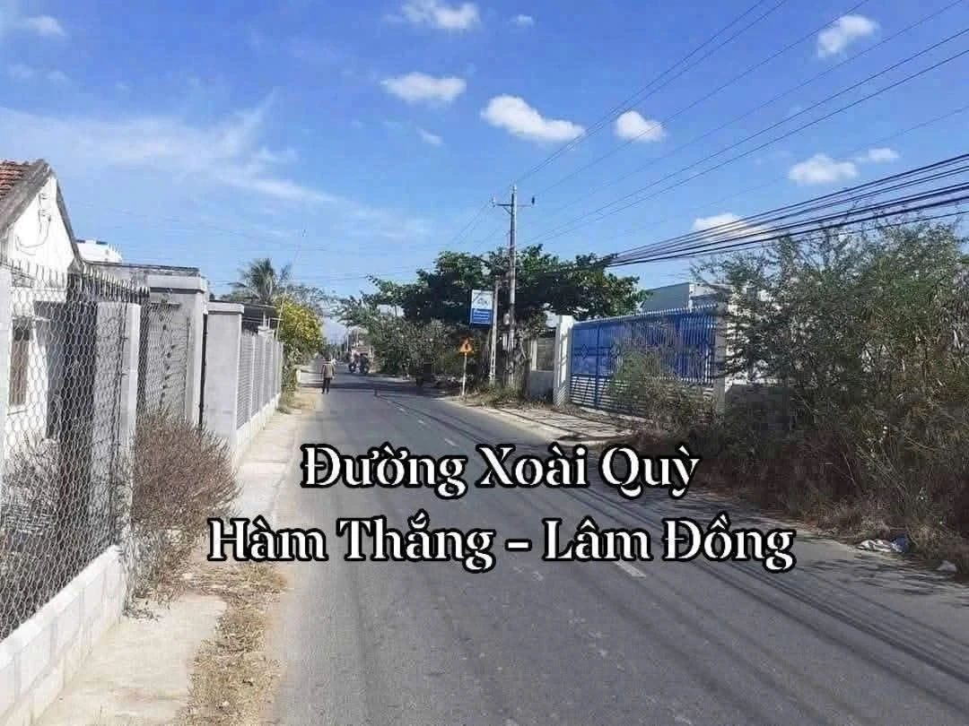 Bán lô đất thổ cư 98.7m2 Trần Quang Diệu Phan Thiết - Ảnh 1