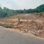 Bán 2 lô đất An Điền 220-288 m² giá 1,5-1,7 tỷ - Ảnh thu nhỏ 1