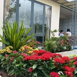 Bán nhà vườn 450m2 đất thổ cư Tây Ninh, gần chợ Tầm Vu - Ảnh thu nhỏ 2
