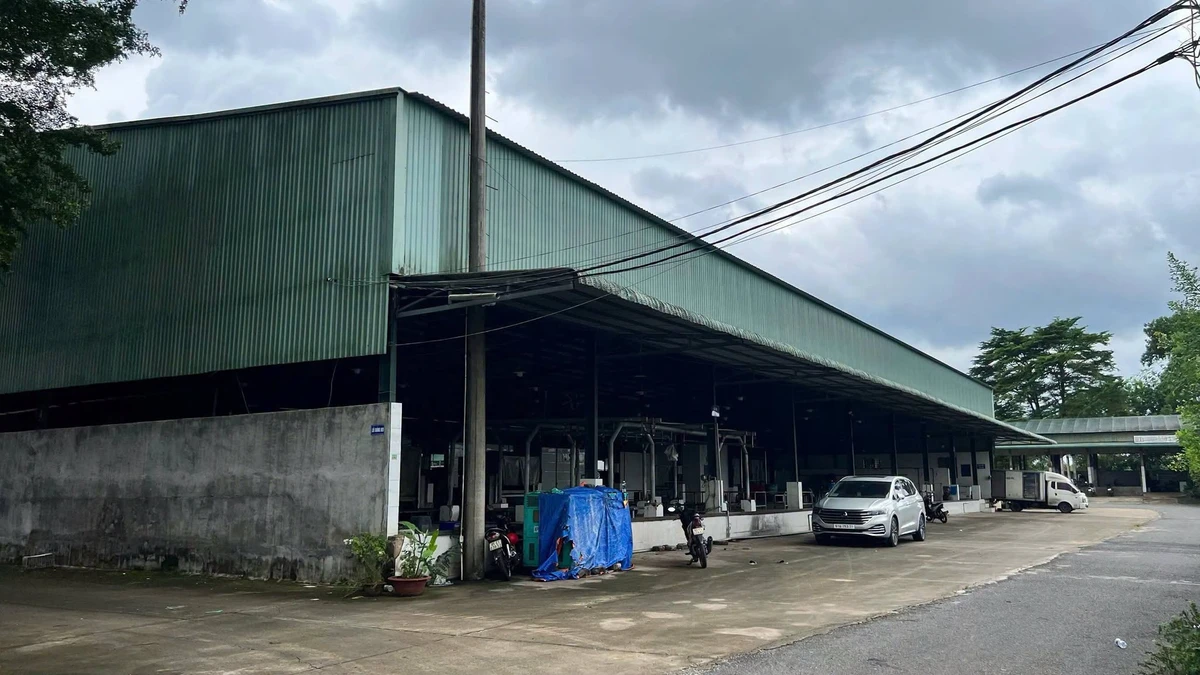 Bán nhà xưởng lò mổ gia cầm 28.000m2 Trảng Bom, Đồng Nai - Ảnh thu nhỏ 5