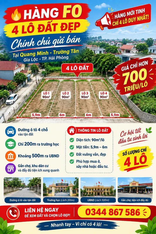Bán đất Quang Minh Hải Phòng 90m² hơn 700 triệu