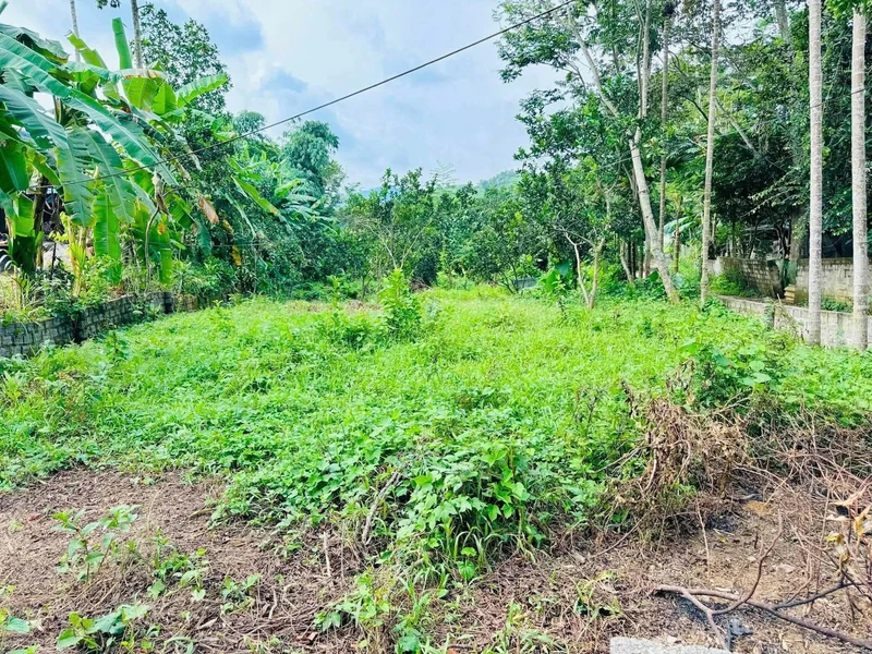 Bán đất 983m² (850m² đất ở) Kim Bôi, giá hơn 1 tỷ
