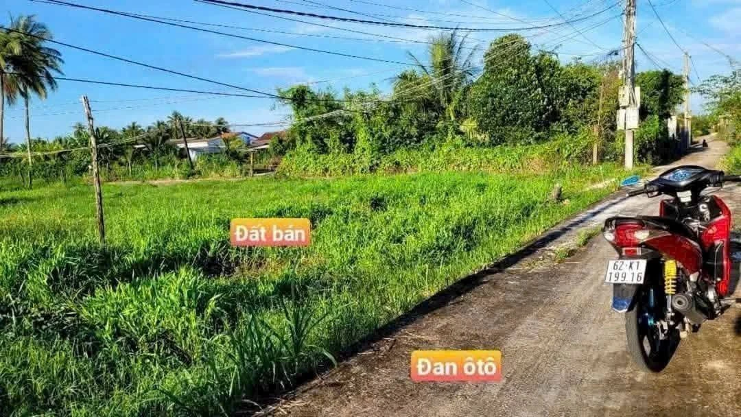 Bán đất thổ cư 5x21 105m2 giá 279 triệu tại Hiệp Thạnh, Châu Thành, Long An - Ảnh 1