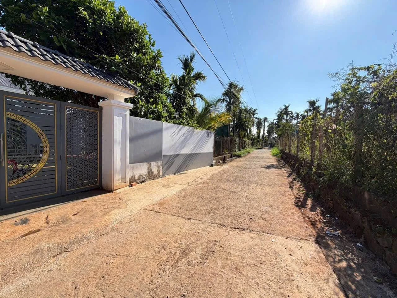 Bán đất hẻm 140m² Nguyễn Thái Bình, Tân Lập, Bình Tân - Ảnh 1