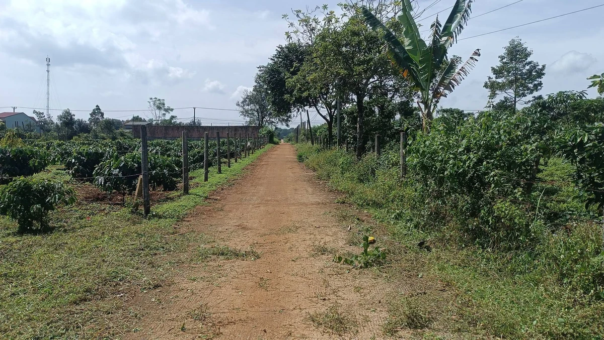 Bán lô đất nền 5m × 28m Đào Duy Từ 140m², 3xx triệu - Ảnh thu nhỏ 5