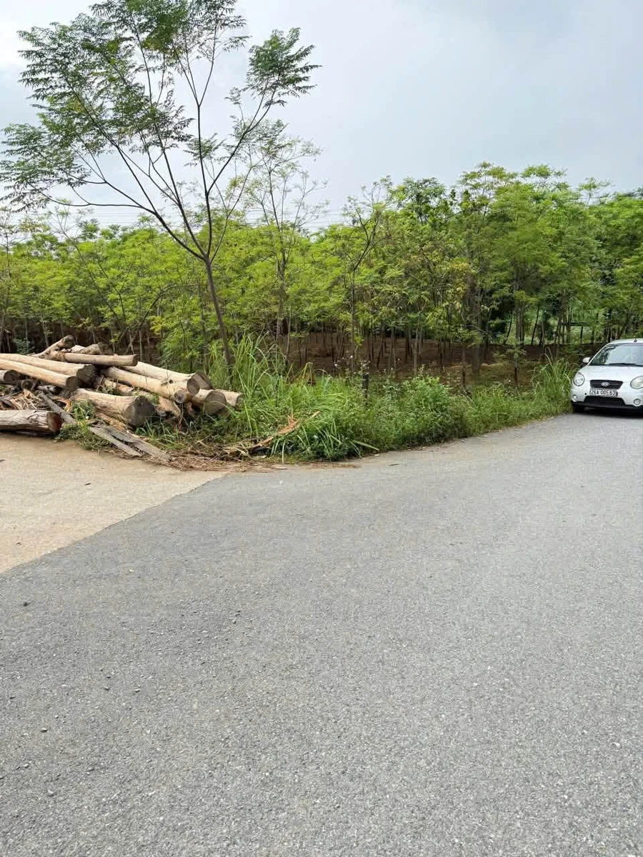 Bán đất 1174m2 hai mặt tiền Phú Thọ, 800 triệu - Ảnh 1