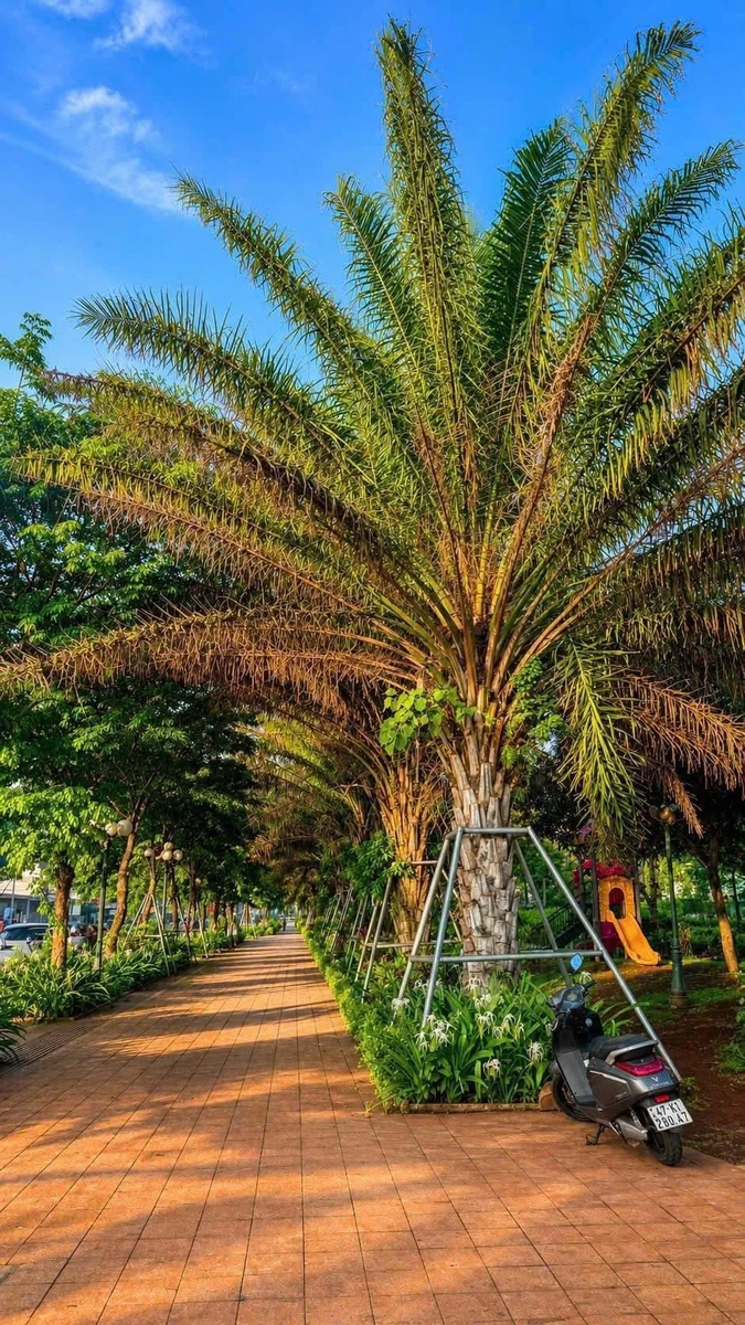 Bán nhà 4 tầng Ecocity Premia 6.5 tỷ, 108m2 - Ảnh 1