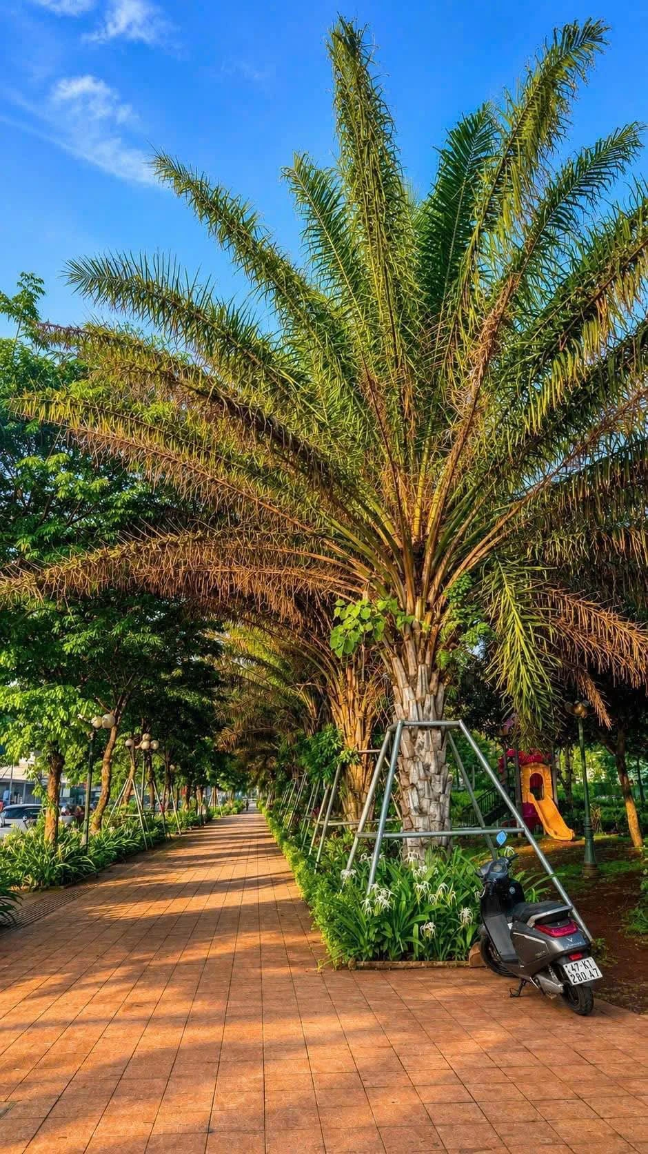 Bán nhà 4 tầng Ecocity Premia 6.5 tỷ, 108m2 - Ảnh 1