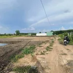 Bán đất vườn 1.156m2 đường Thanh Bình, Phường Phú An giá 2 tỷ - Ảnh thu nhỏ 1