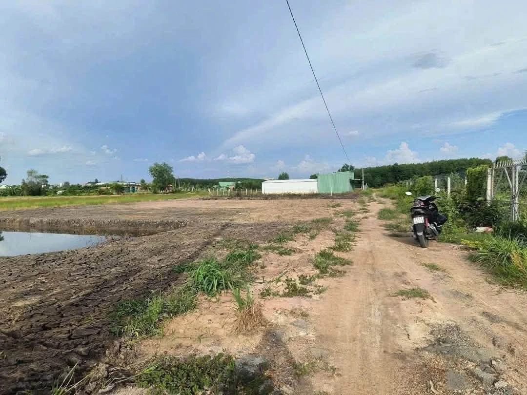 Bán đất vườn 1.156m2 đường Thanh Bình, Phường Phú An giá 2 tỷ - Ảnh 1