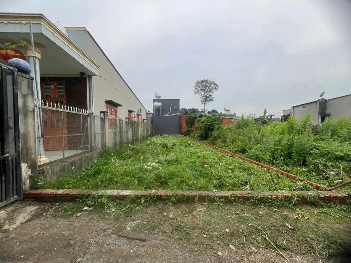 Bán đất sổ riêng 131m2 giá 1,39 tỷ khu phố Tân Ba, Tân Đông Hiệp - Ảnh thu nhỏ 3