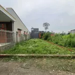 Bán đất sổ riêng 131m2 giá 1,39 tỷ khu phố Tân Ba, Tân Đông Hiệp - Ảnh thu nhỏ 3