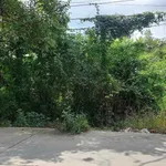 Bán đất nền mặt tiền Nguyễn Văn Nhị 100 m² 1 tỷ 350 triệu - Ảnh thu nhỏ 2