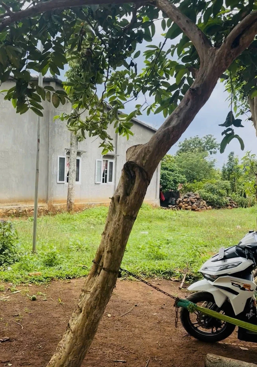 Bán đất Ea Kao, Đắk Lắk 600m² view hồ 480 triệu - Ảnh thu nhỏ 3
