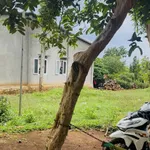 Bán đất Ea Kao, Đắk Lắk 600m² view hồ 480 triệu - Ảnh thu nhỏ 3